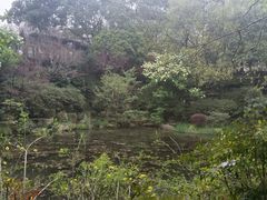 -杭州半山国家森林公园