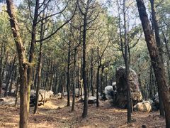 -泰山风景名胜区-普照寺