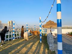 -Blue Concept Cafe&Farm·關於藍
