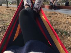 -春花秋色城市公园