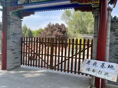 -莲花池公园