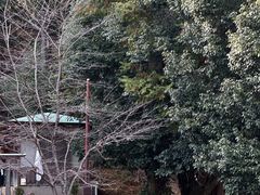 -岚山嵯峨野观光小火车
