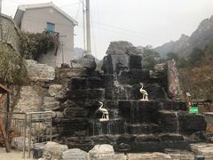 -大岭沟猕猴桃谷风景区