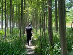 -上海长兴岛郊野公园