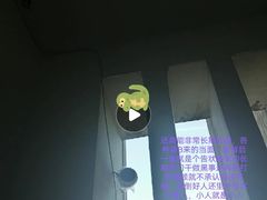 -约翰·菲茨杰拉德·肯尼迪国际机场