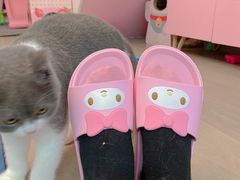 -名创优品(天河区正佳广场二店)