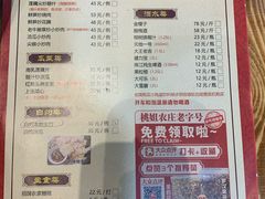 -桃姐农庄老字号(增城分店)