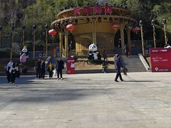 -栾川竹海野生动物园