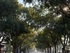 -东钱湖小普陀景区