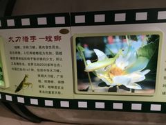 -上海昆虫博物馆