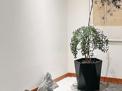 -小茶闲舍·观景商务茶馆(广州塔店)