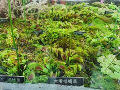 -国家植物园南园