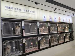 -翊宠yipet猫狗购宠庄园犬舍•猫舍