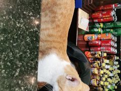 -绿野餐厅(上海动物园店)