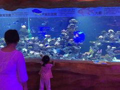 -芜湖新华联大白鲸海洋公园