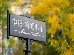 -中粮·祥云小镇
