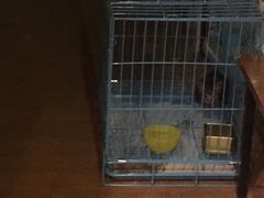 -密讯馆密室逃脱&换装侦探剧(环球港旗舰店)