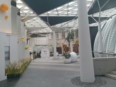 -佐度王子扒房(西城红场店)