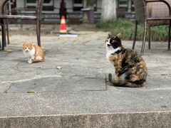 -常熟方塔园