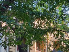 -沙面人才休闲岛