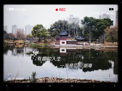 -和平公园