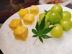 -觀芷隐轩