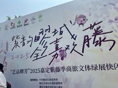 -嘉定紫藤园