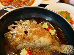 -芙蓉堂(武汉天地店)