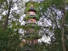 -上海佘山国家森林公园西佘山园