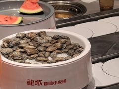 -龍歌自助小火锅(雨花台江南虹悦城店)