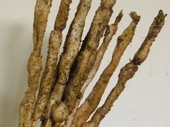 -老红桥炸灌肠牛肚锅烧烤(定福庄店)