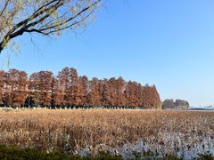 -东湖生态旅游风景区