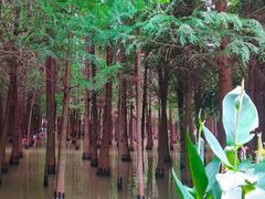 -呈贡滇池生态湿地公园