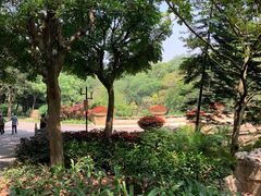 -云溪植物园