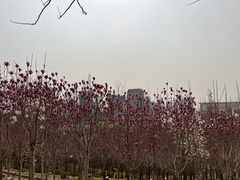 -河北省园博园