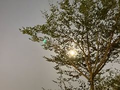 -广州保龄球馆(广州天河体育中心店)