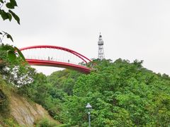 -金鸡山公园