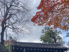 -常寂光寺