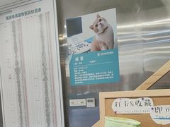 -伟伟宠物医院·CT影像中心·瑞派犬猫综合性门诊(汉口总院)
