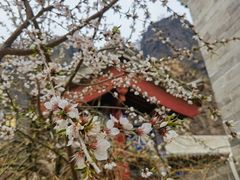 -大境门景区