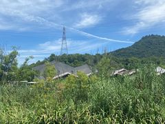 -西湖风景区-江洋畈生态公园