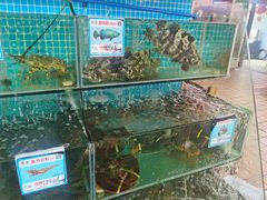 水产区-范饭椰林川湘味海鲜·椰子鸡(三亚湾椰梦长廊店)