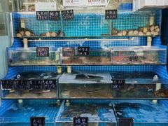 -北戴河庆山饭店·海鲜砂锅粥(北戴河黑石路店)