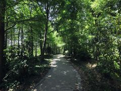 -新江湾城公园