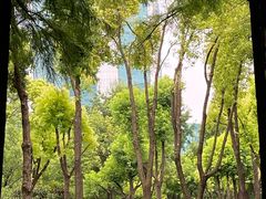 -西北湖绿化广场