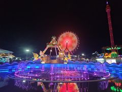 -品德宏·孔雀宴的发源地(金塔园店)