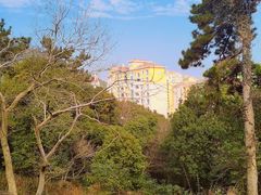 -平湖九龙山旅游度假区