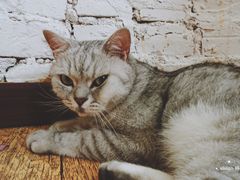 -不舍昼夜咖啡馆