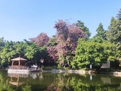 -东莞市可园博物馆