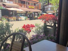 -龙翔山庄雷鸡肉(青城后山泰安古镇店)